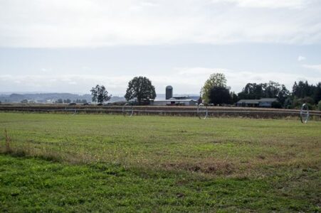 Raising Livestock Sustainably and Processing Meat Locally, Part 2 Image